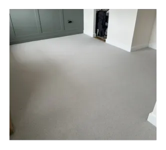 bedroom with new light grey carpet